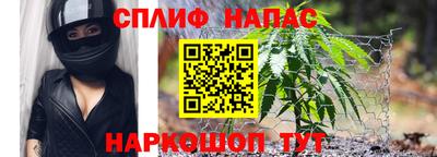 mdpv Бердск