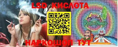 mdpv Бердск